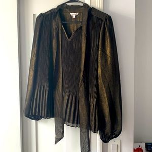 Metallic blouse